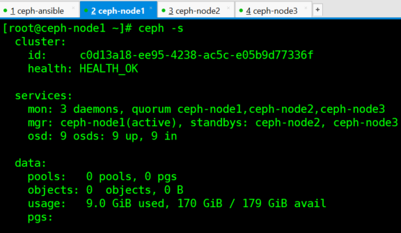 Ceph-ansible deploy Ceph(mimic)