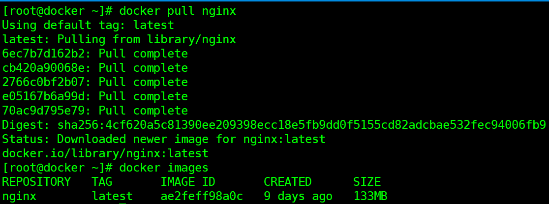 docker pull nginx images